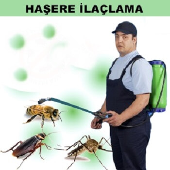 Gölcük Böcek İlaçlama